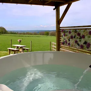  Campsite West Wood Yurts Ltd